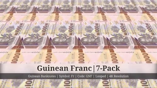 Guinean Franc | Guinea Currency - 7 Pack | 4K Resolution | Looped