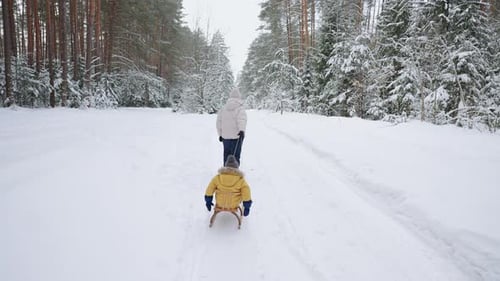 A Young Mother and Son Have Fun in the Winter in the Forest Sledding in Slow Motion