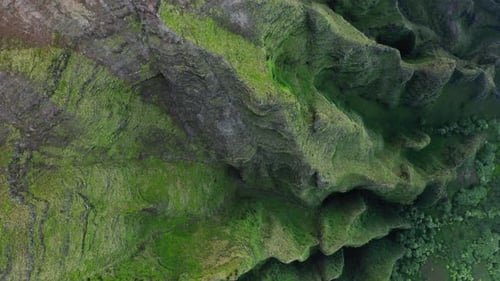 Unusual Looking Tropical Vegetation Covering Rocky Walls of the Cavity. Aerial Shot