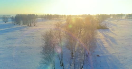 Aerial Drone View of Cold Winter Landscape with Arctic Field Trees Covered with Frost Snow and