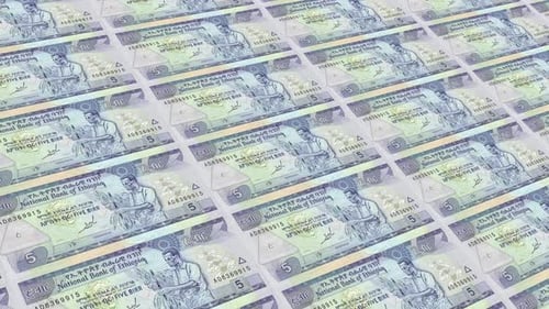 Ethiopia Money / 5 Ethiopian Birr 4K