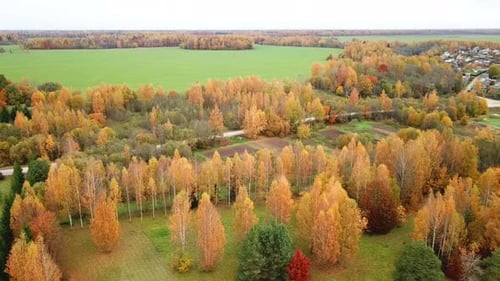 Goldener Herbst In Einem Landgut