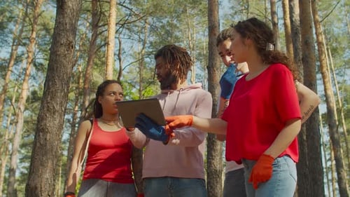 Interracial Diverse Freiwilligenteam arbeitet im Freien