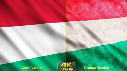 Waving Hungarian Flag Animation with Clean and Textured Styles