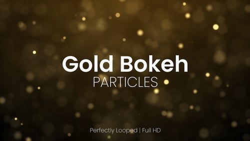Golden Shimmering Particle Bokeh Light Loop