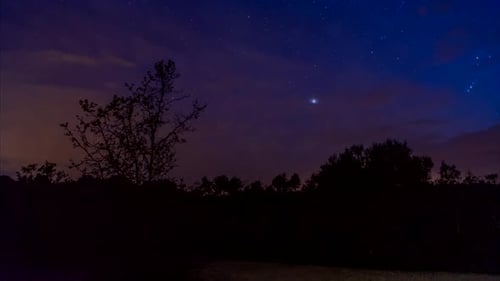 Night Sky with Trees and Clouds Time Lapse
