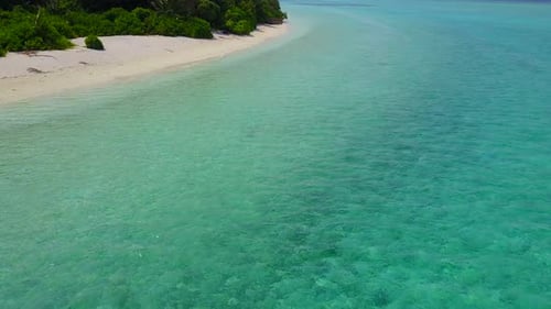 Sunny sky of tropical shore beach wildlife by clear ocean with sand background near waves