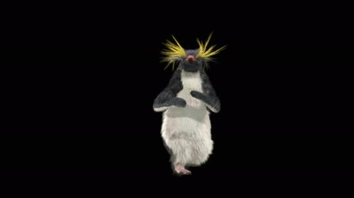 Penguin Dancing 4K