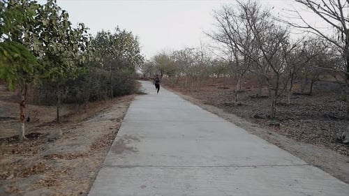 Young Adult Jogging on a Rural Park Pathway