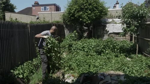 Royaume-Uni asiatique adulte mâle nettoyant le liseron dans le jardin arrière. Verrouillé