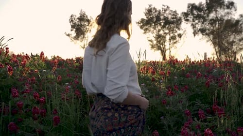 Among a field of blooming flowers