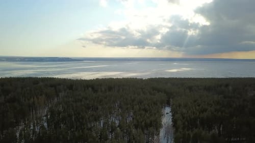Pine Woods And Frozen River