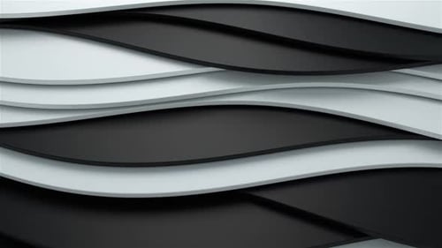 Black And White Clear Background