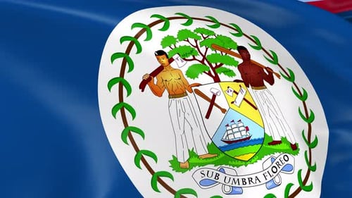 Belize National Flag Waving in Realistic Loop Animation