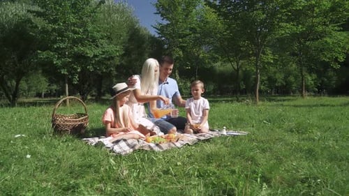 Happy Family Enjoying Summer Picnic in the Park