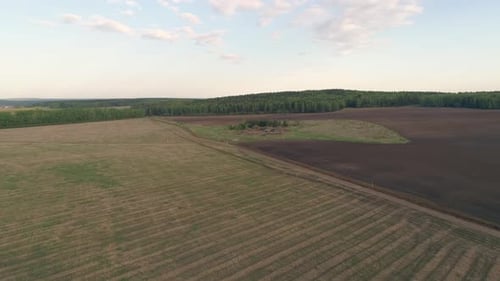 Aerial view of Agricultural field surrounded by forest 09