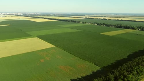 Aerial Drone View Flight Over Different Agricultural Fields