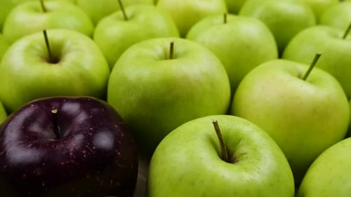 Green Apples and One Plum Apple Close Up