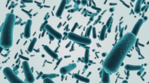 Animated 3D Microbes Floating in Liquid for Scientific Visualizations