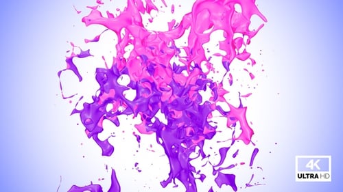 Vibrant Pink and Purple Paint Splash Transition