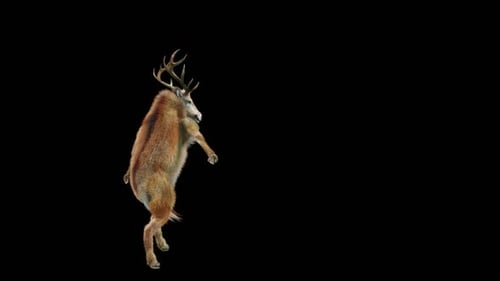 Animated Furry Deer Dancing on Black Background