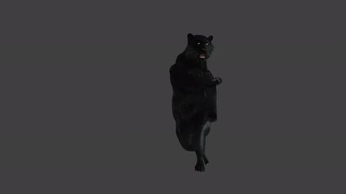 Animated Black Panther Dancing 3D Model Loop