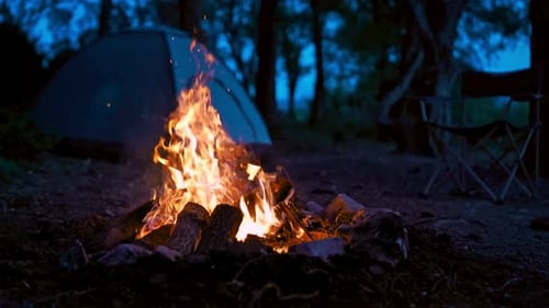 Campfire Burning Brightly in Forest at Night