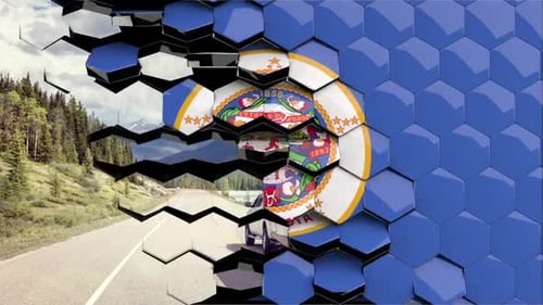 Hexagon Tile Grid Reveal Transition