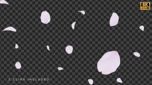 Sakura-Overlay