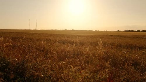 Los acantilados blancos de Dover, Kent, Inglaterra, Reino Unido