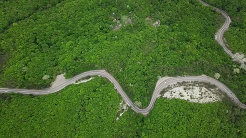 Top View. Aerial View From Drone. Road in Mountain Forest Is Beautiful with Many Tree, Road on Pass