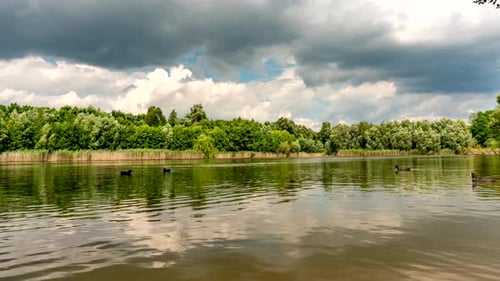 Calm lake in green city park.