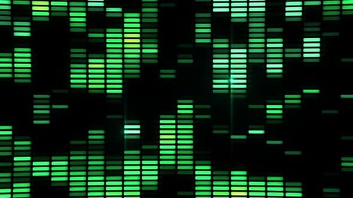 Neon Equalizer Lights