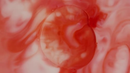 Fluid Abstract Motion Background (No CGI used) - ABSTRACT LIQUID 064