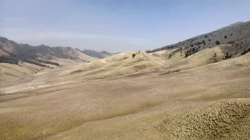 Drone Of Mountains And Tree In Bromo Tengger Semeru