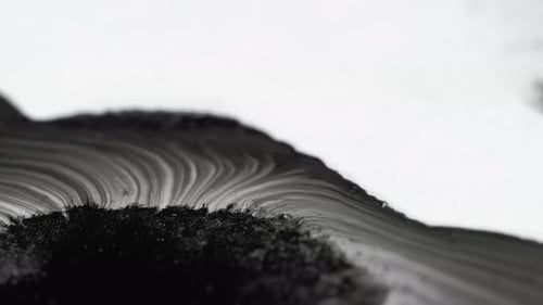 Abstract Black Ink Spreading on White Surface