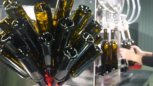 Proceso de producción de bebidas alcohólicas