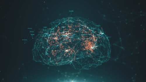 High-tech 3D Brain Model