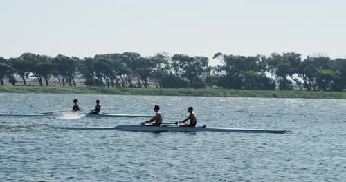 Male rowers team rowing on the lake