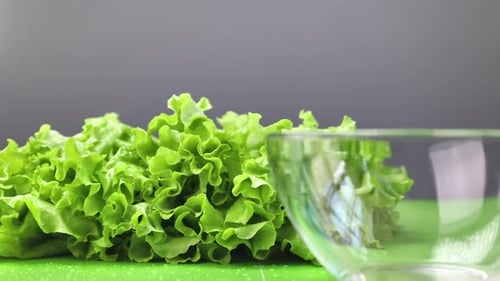 Fresh Green Lettuce and Glass Bowl