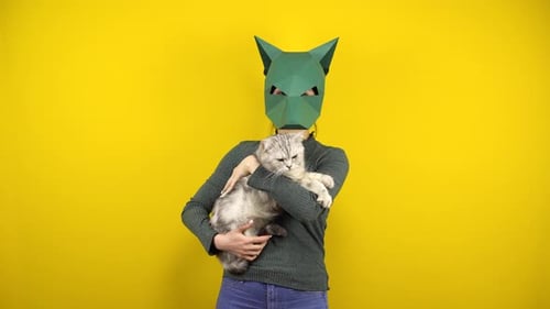 Eine junge Frau in einer Pappschakal-Maske hält eine Katze in ihren Armen auf gelbem Hintergrund. Frau in