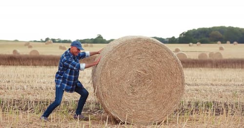 Smiling Farmer Rolling Hay Bale and Gesturing in Farm