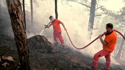 Firefighters Extinguishing Forest Fire With Water Hoses