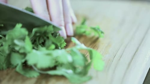 Fresh Cilantro Being Chopped on Wood Board