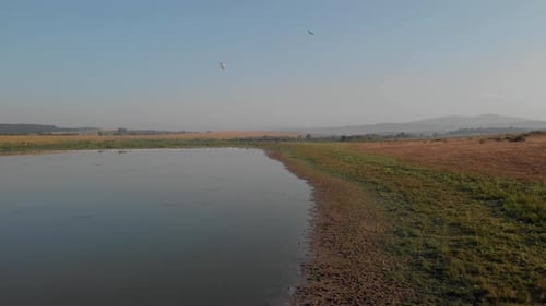 Peaceful Marshland Landscape with Birds from Above