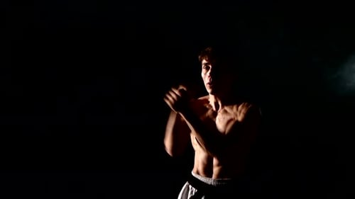 Kung-fu oder Karate-Mann, der Kampfsport über Grau praktiziert.
Rauch