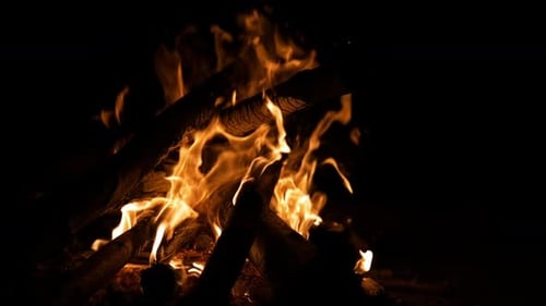 Feu de camp (2 km)