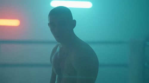 Boxer Silhouette