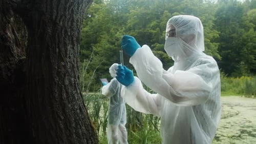 Scientists Collecting Samples in Green Natural Environment