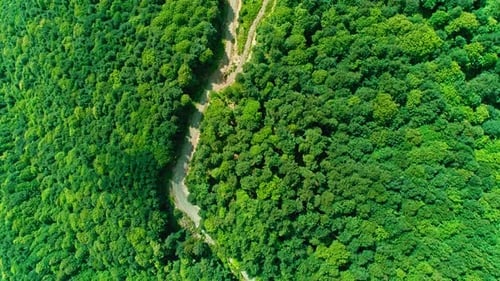 Vue aérienne de la route dans la forêt (4K)